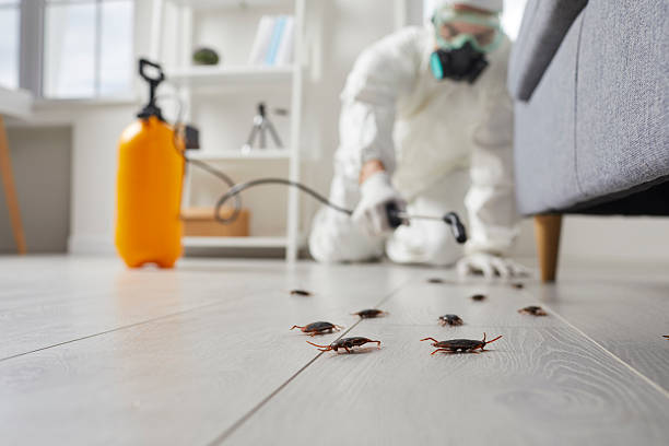 Commercial Kitchen Cockroach Control in Plainedge
